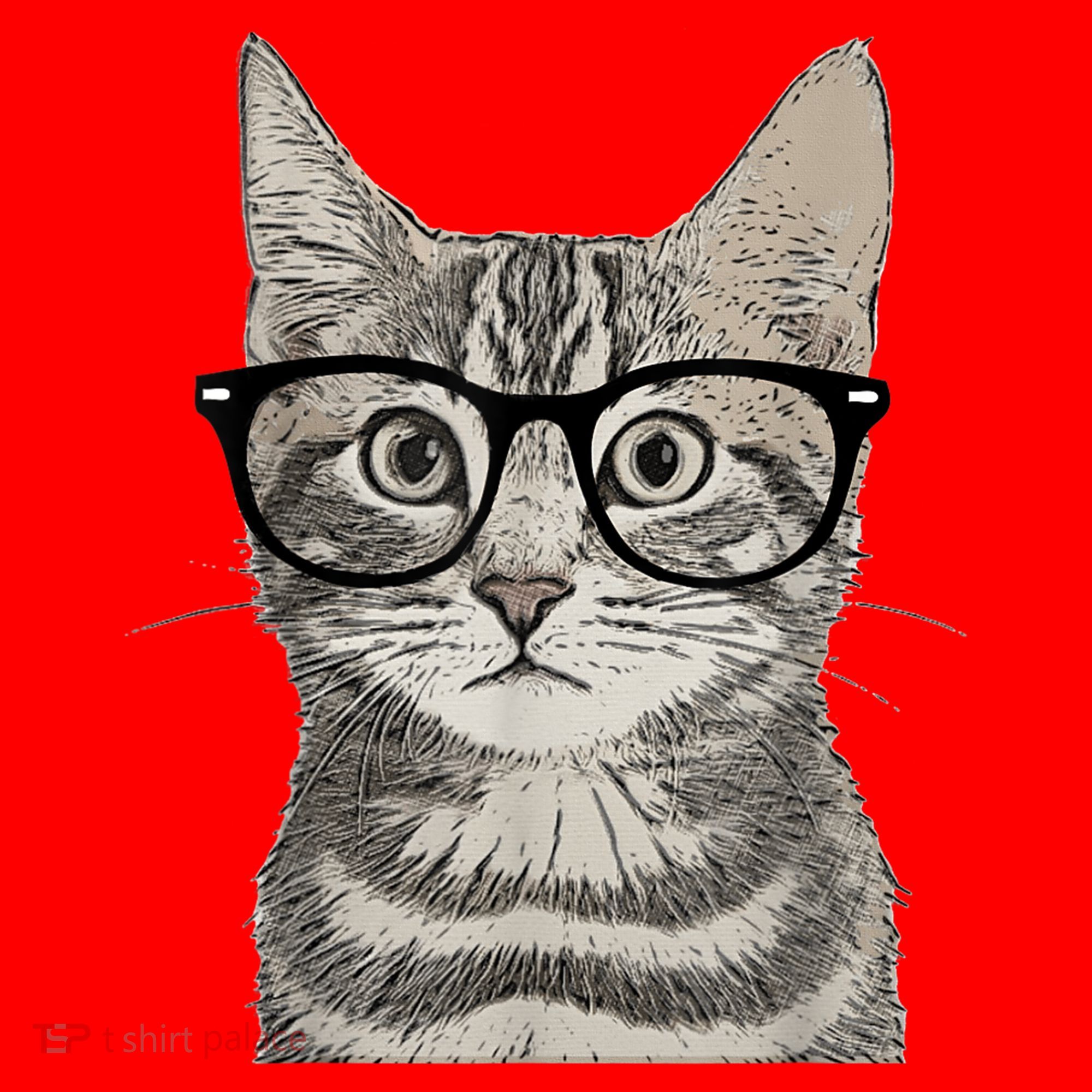 Hipster Cat Kitten Spectacles Eye Glasses Funny Cute Santa Hat