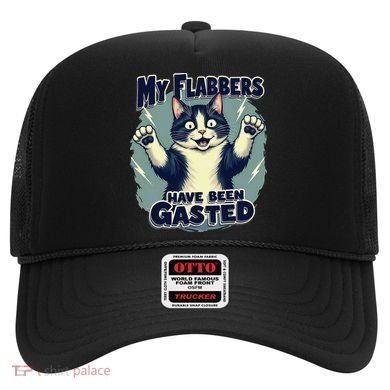 Humor Cat My Flabbers Have Been Gasted Hat