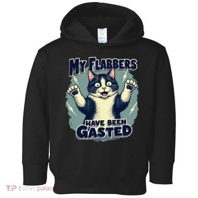 Humor Cat My Flabbers Have Been Gasted Toddler Hoodie