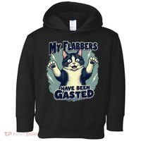 Humor Cat My Flabbers Have Been Gasted Toddler Hoodie thumb 0