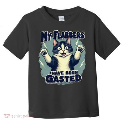 Humor Cat My Flabbers Have Been Gasted Toddler T-Shirt