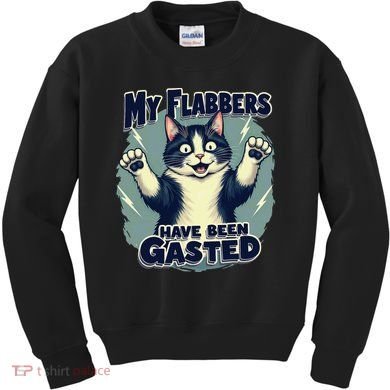 Humor Cat My Flabbers Have Been Gasted Kids Sweatshirt