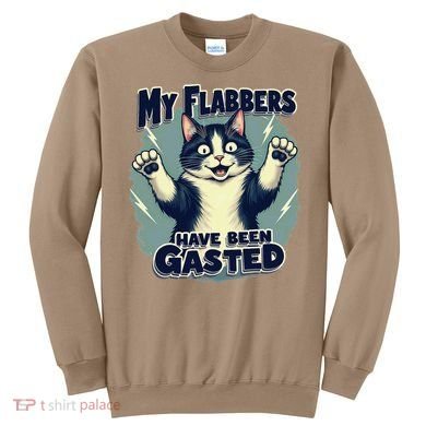 Humor Cat My Flabbers Have Been Gasted Sweatshirt