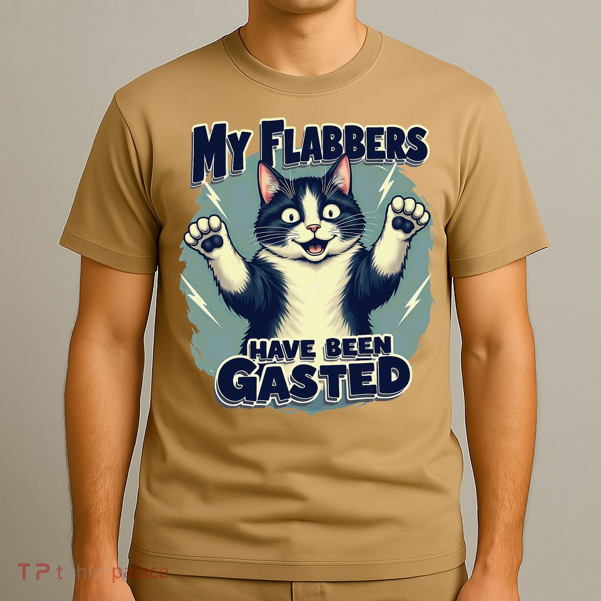 Humor Cat My Flabbers Have Been Gasted T-Shirt