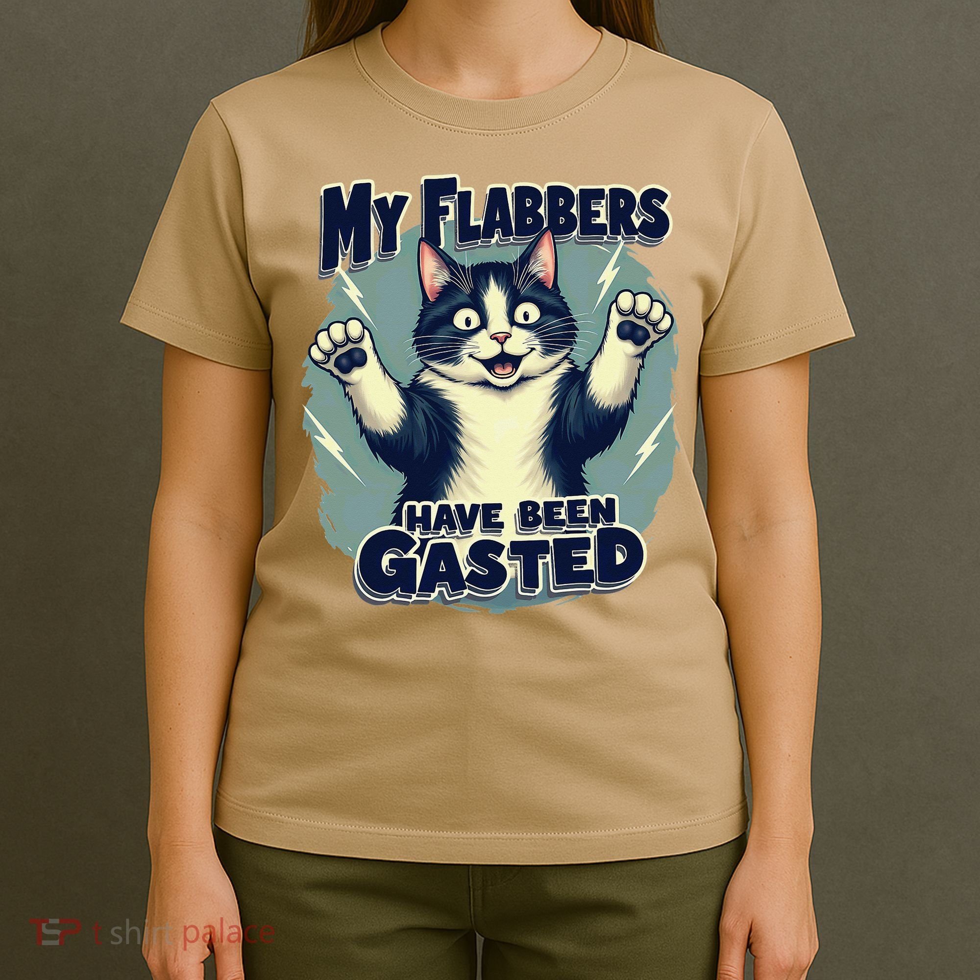 Humor Cat My Flabbers Have Been Gasted T-Shirt