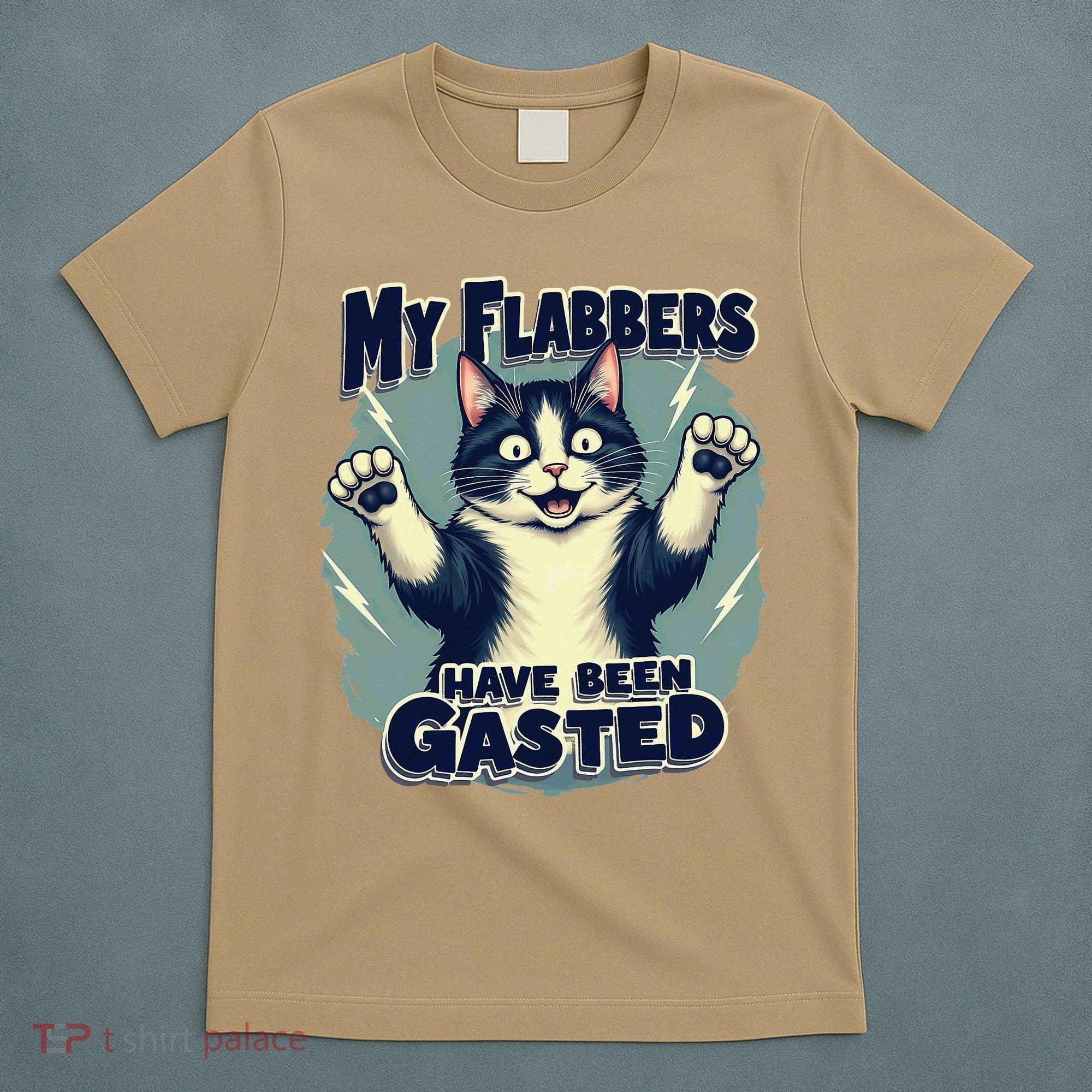 Humor Cat My Flabbers Have Been Gasted T-Shirt
