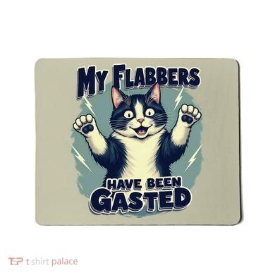 Humor Cat My Flabbers Have Been Gasted Mousepad