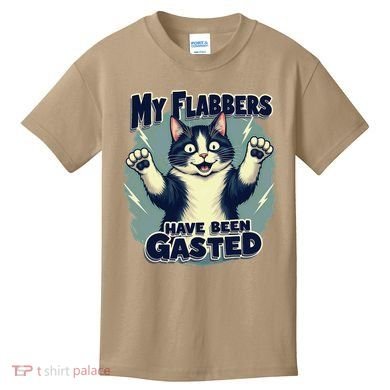 Humor Cat My Flabbers Have Been Gasted Kids T-Shirt