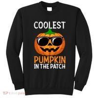 Halloween Coolest Pumpkin In The Patch Sweatshirt thumb 0