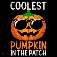 Halloween Coolest Pumpkin In The Patch Ornament thumb 1