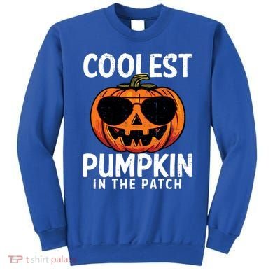 Halloween Coolest Pumpkin In The Patch Sweatshirt