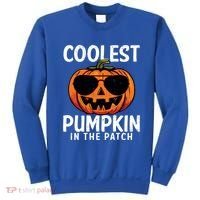 Halloween Coolest Pumpkin In The Patch Sweatshirt thumb 0