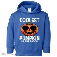 Halloween Coolest Pumpkin In The Patch Toddler Hoodie thumb 0