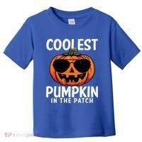 Halloween Coolest Pumpkin In The Patch Toddler T-Shirt thumb 0