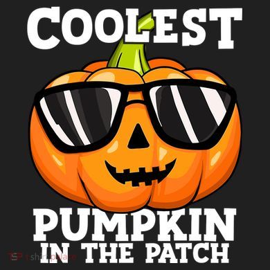 Halloween Coolest Pumpkin In The Patch Women's Sweatshirt
