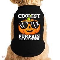 Halloween Coolest Pumpkin In The Patch Doggie Tank thumb 0
