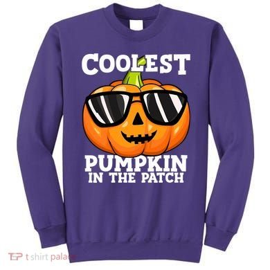 Halloween Coolest Pumpkin In The Patch Sweatshirt