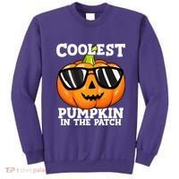 Halloween Coolest Pumpkin In The Patch Sweatshirt thumb 0