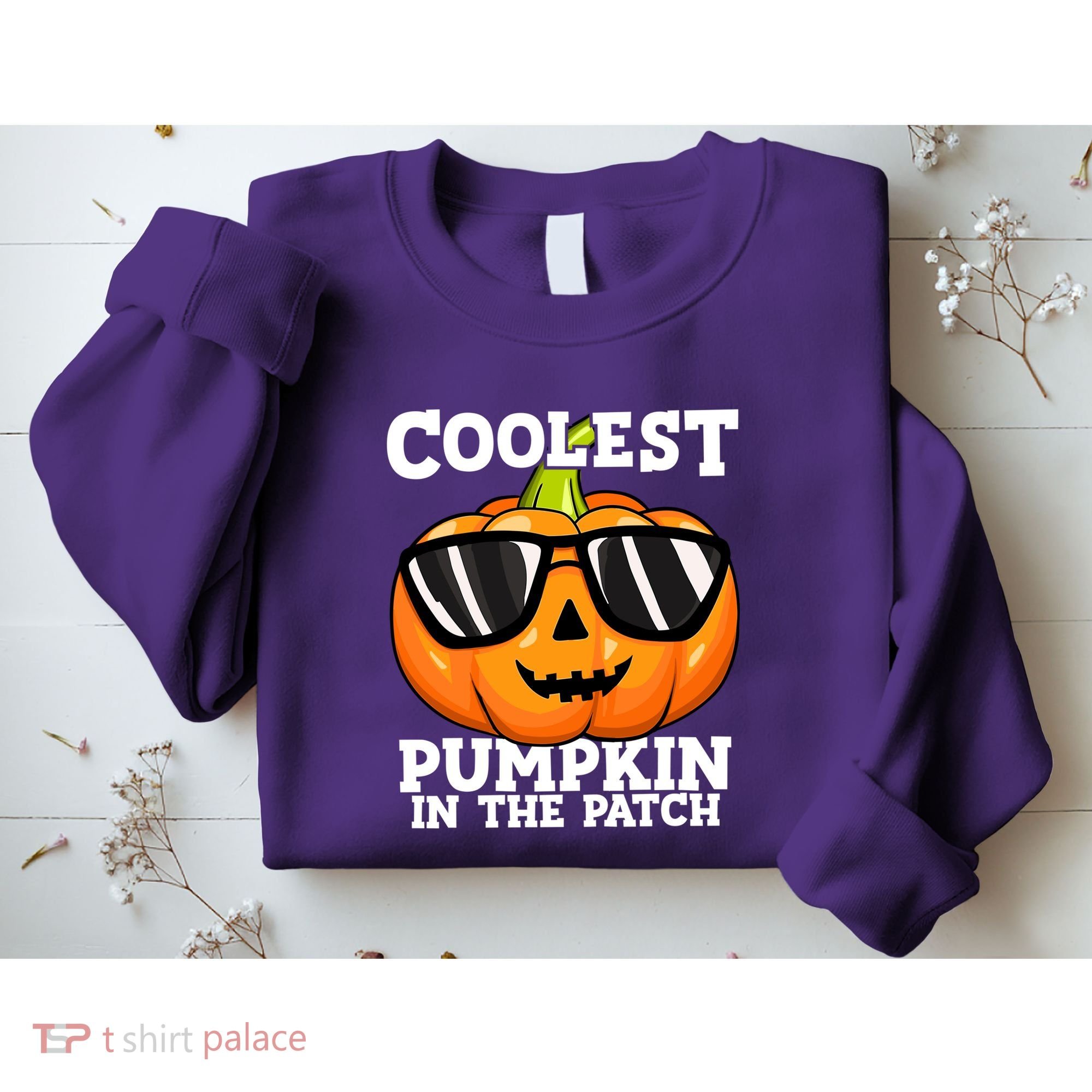 Halloween Coolest Pumpkin In The Patch Sweatshirt