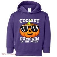 Halloween Coolest Pumpkin In The Patch Toddler Hoodie thumb 0