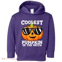 Halloween Coolest Pumpkin In The Patch Toddler Hoodie thumb 0