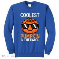 Halloween Coolest Pumpkin In The Patch Sweatshirt thumb 0