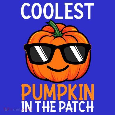 Halloween Coolest Pumpkin In The Patch Women's Tri-Blend 3/4-Sleeve Raglan Shirt