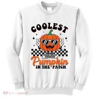Halloween Coolest Pumpkin In The Patch Sweatshirt thumb 0