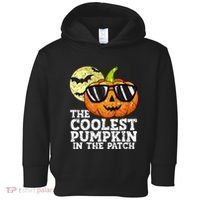 Halloween Coolest Pumpkin In The Patch Toddler Hoodie thumb 0