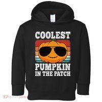 Halloween Coolest Pumpkin In The Patch Toddler Hoodie thumb 0