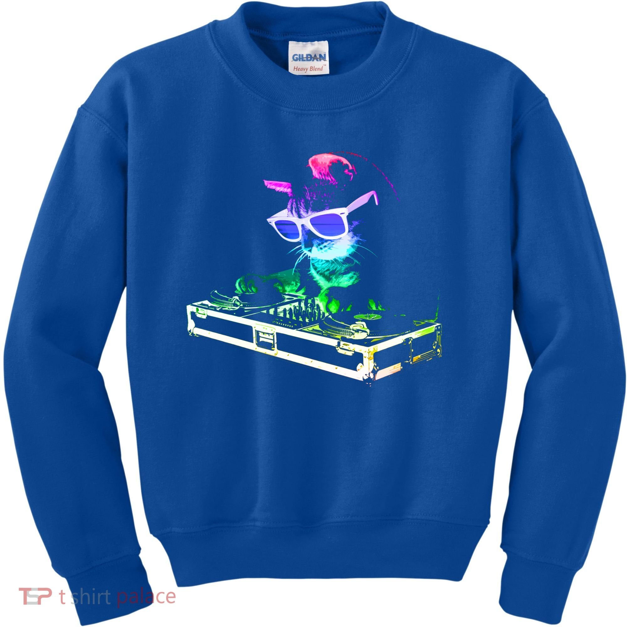 House Cat (Rainbow Dj Cat Kitty) Great Gift Kids Sweatshirt