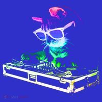 House Cat (Rainbow Dj Cat Kitty) Great Gift Kids T-Shirt thumb 4