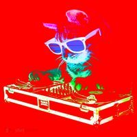 House Cat (Rainbow Dj Cat Kitty) Great Gift Santa Hat thumb 1