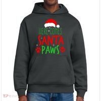 Here Comes Santa Paws Cute Christmas District V.I.T. Heavyweight Hoodie thumb 0