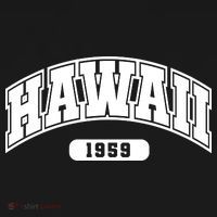 Hawaii Collegiate Style 1959 Polo thumb 3