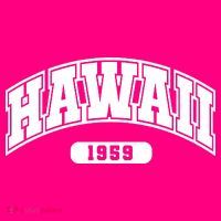 Hawaii Collegiate Style 1959 Toddler T-Shirt thumb 4