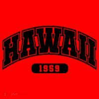 Hawaii Collegiate Style 1959 Santa Hat thumb 1