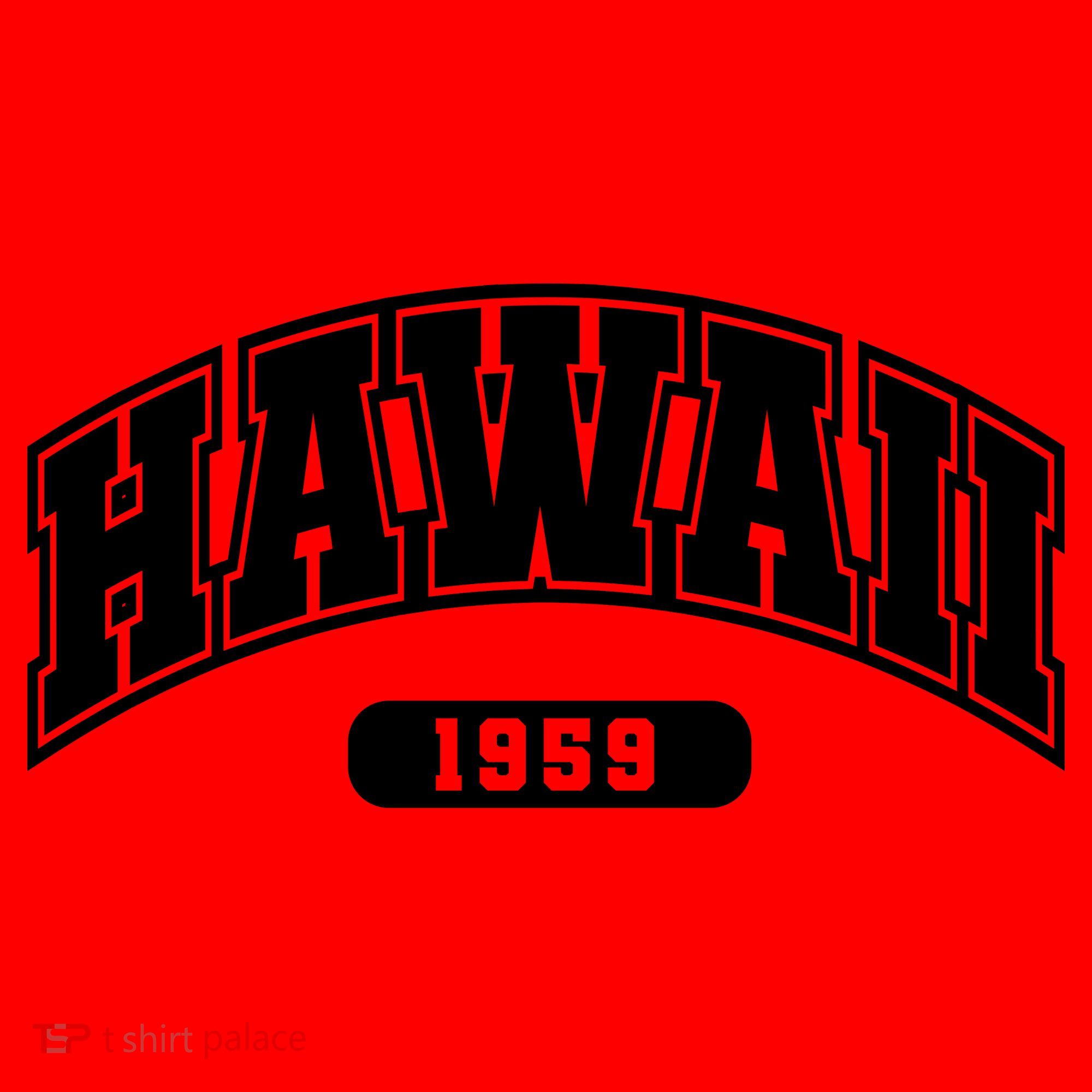Hawaii Collegiate Style 1959 Santa Hat