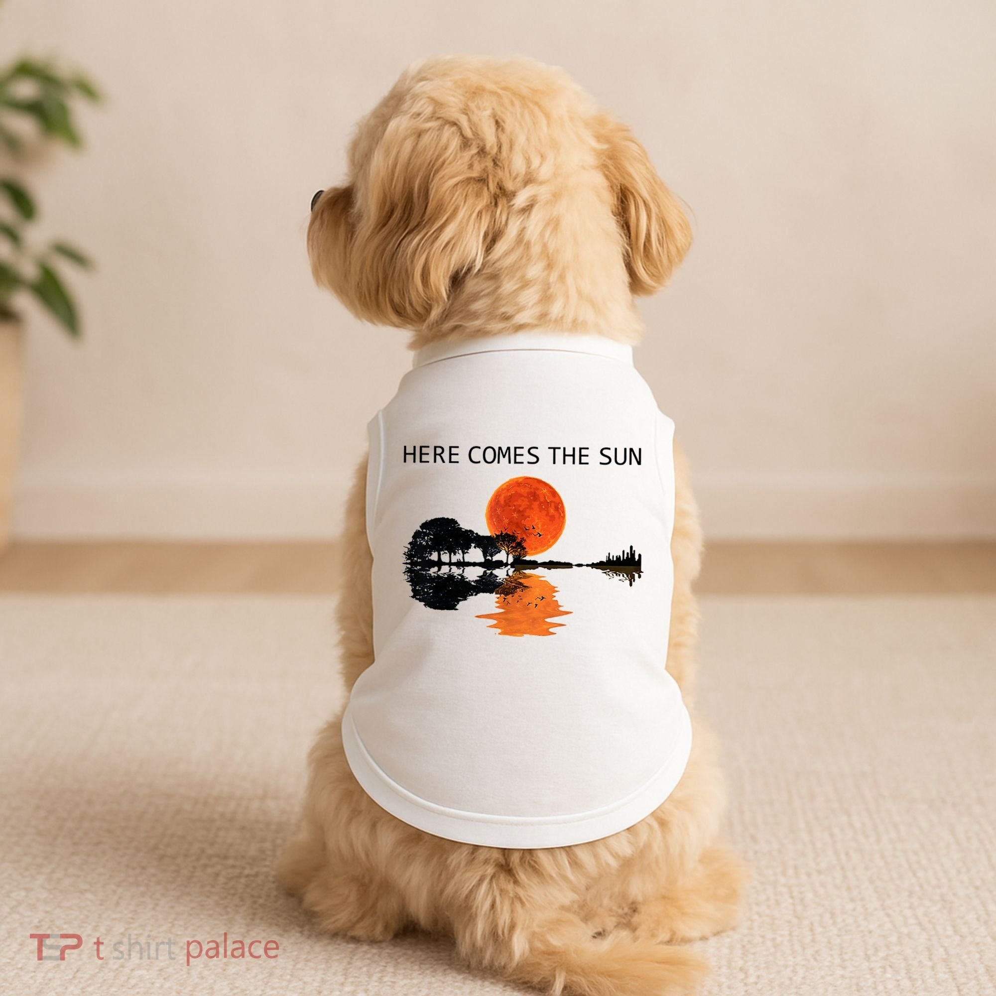 Here Comes The Sun Guitar Shadow Sunset  Doggie Tank