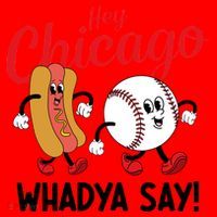 Hey Chicago Whadya Say Baseball And Hot Dog Funny Retro Santa Hat thumb 1