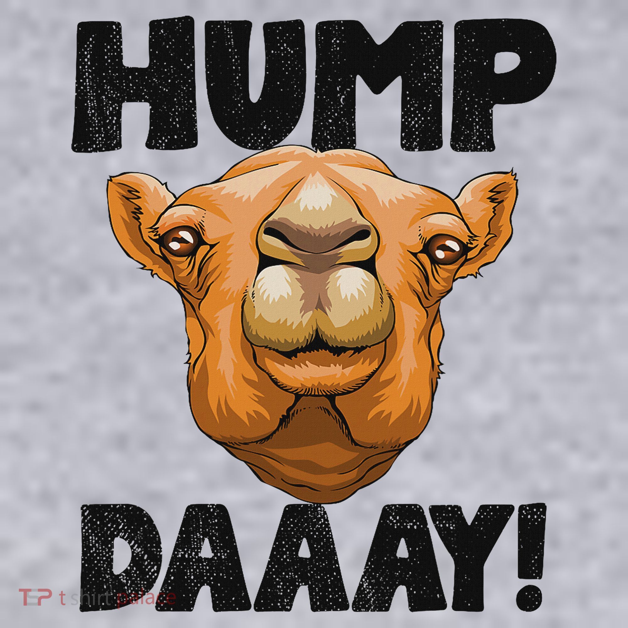 Hump Day Desert Animal Lover Women's Sweatshirt