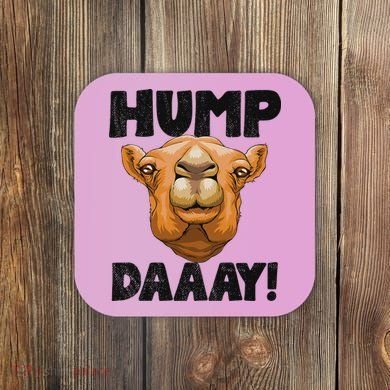 Hump Day Desert Animal Lover Coaster