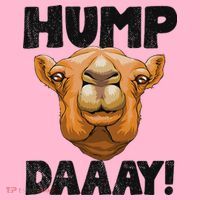 Hump Day Desert Animal Lover Coaster thumb 2