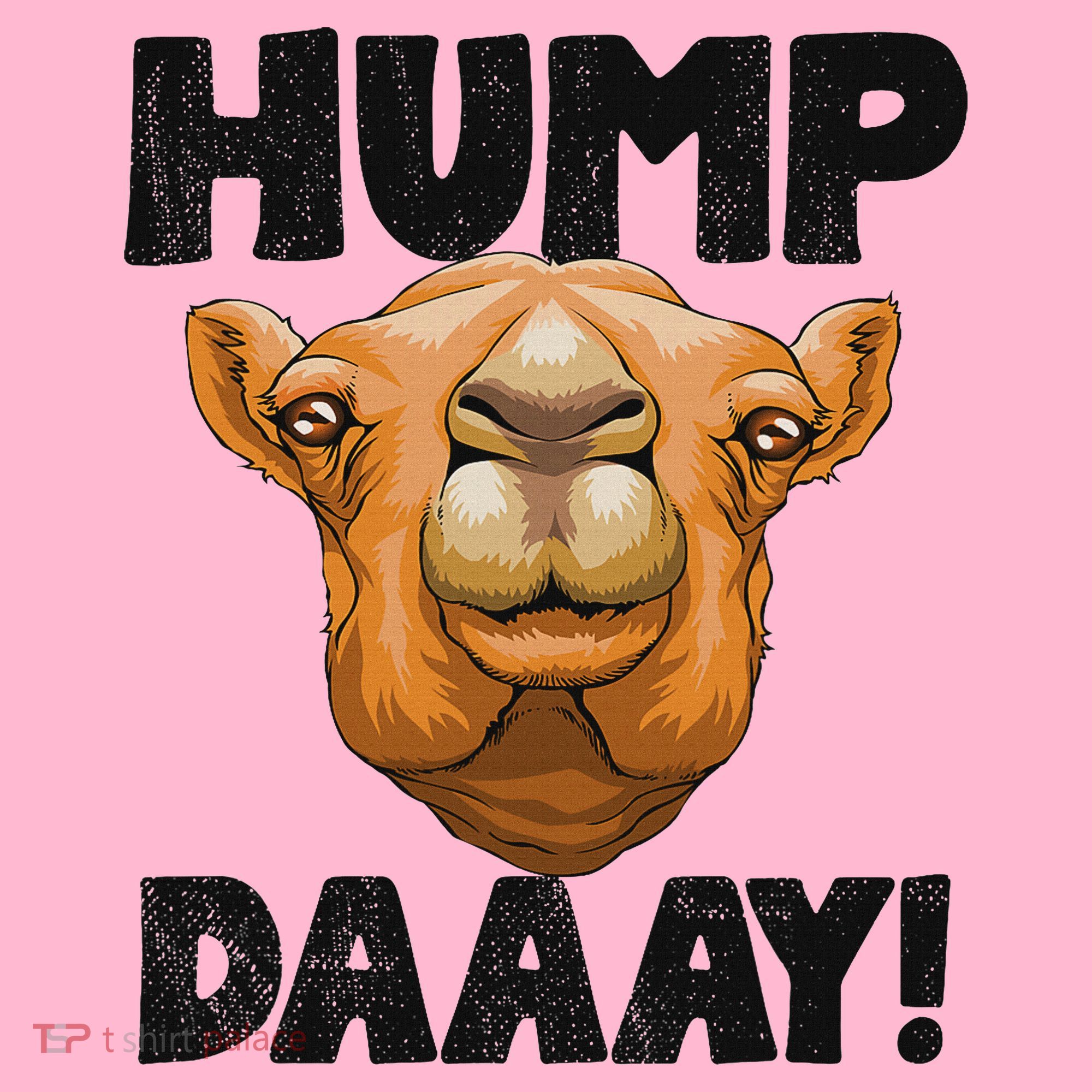 Hump Day Desert Animal Lover Coaster