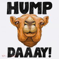 Hump Day Desert Animal Lover Women's Hoodie thumb 2