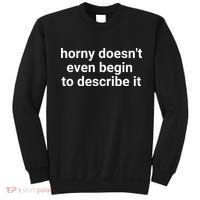 Horny Doesnt Even Begin To Describe It Sweatshirt thumb 0