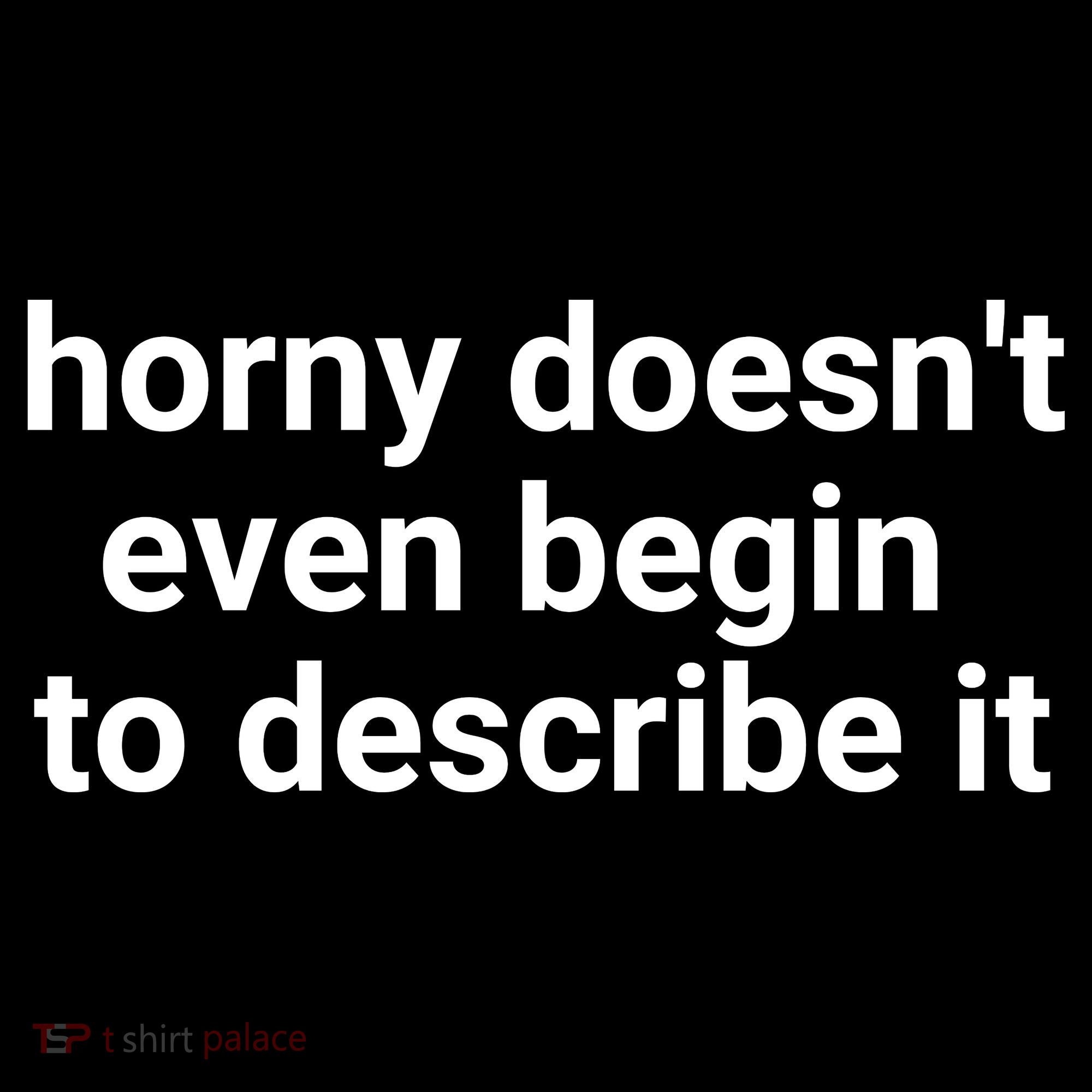 Horny Doesnt Even Begin To Describe It Women's Tank Top