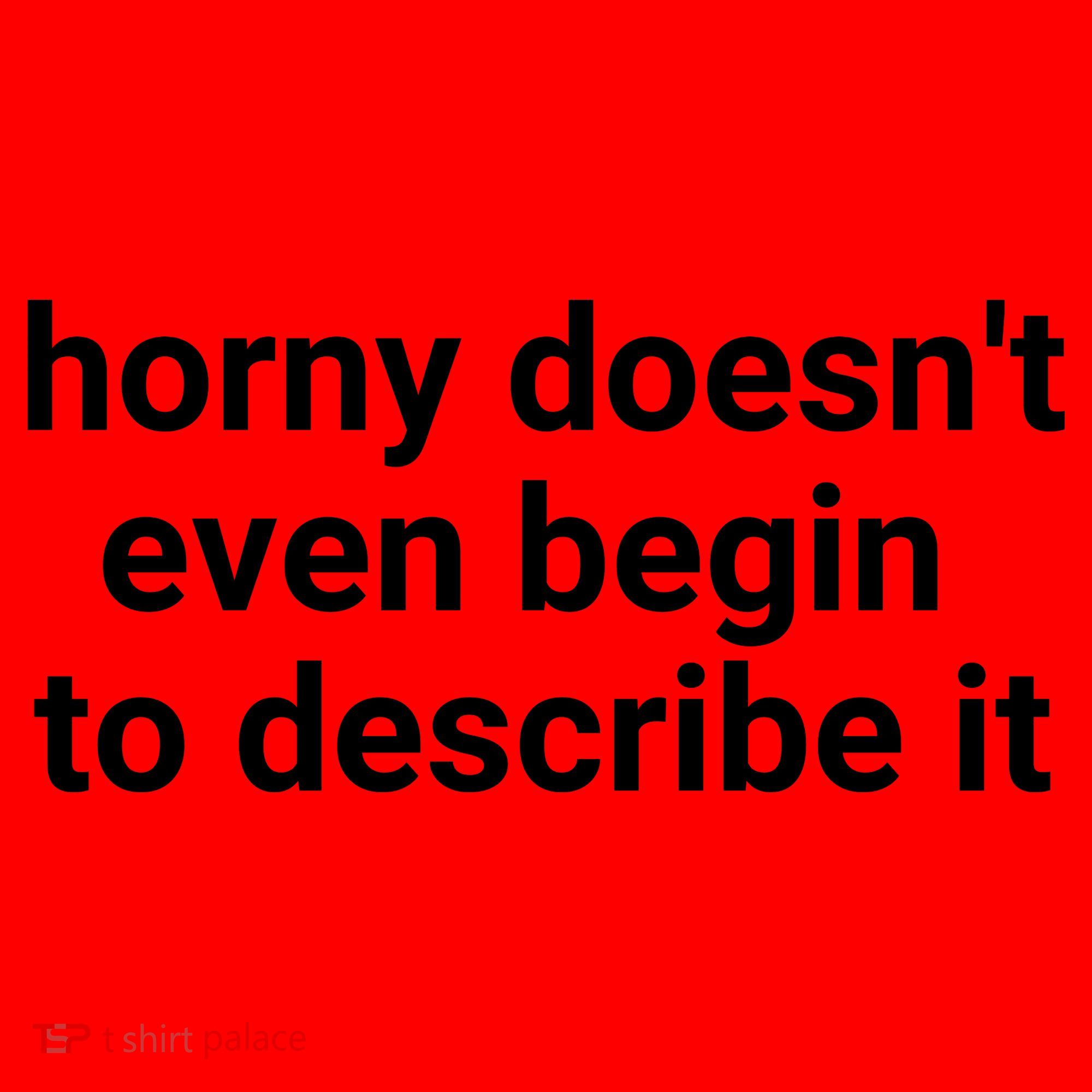 Horny Doesnt Even Begin To Describe It Santa Hat