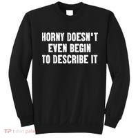 Horny Doesnt Even Begin To Describe It Sweatshirt thumb 0