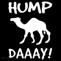 HUMP DAY Funny Ornament thumb 1